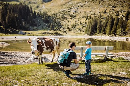 Gantrischseeli, Destination Bern