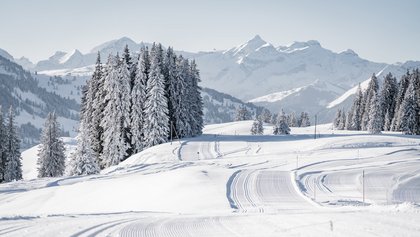 Langlauf in Gstaad