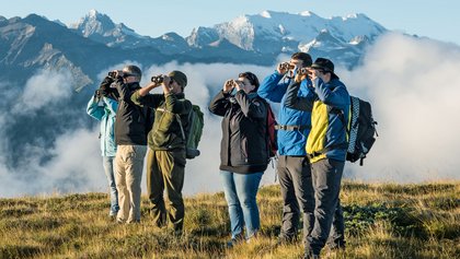 Wildbeobachtung auf dem Niederhorn
