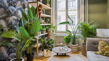 FlexOffice Genfergasse, Destination Bern