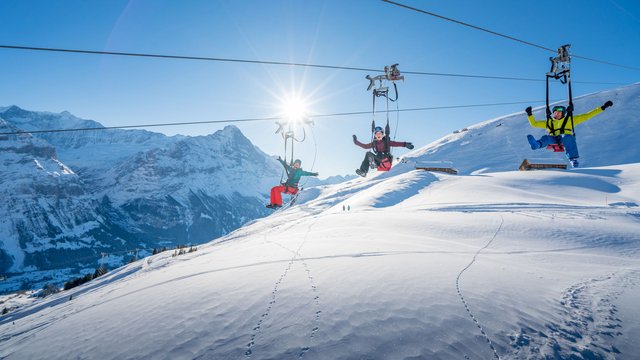 First Flyer Grindelwald