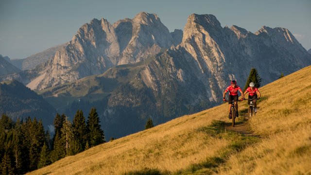 Bike, Ferienregion Gstaad