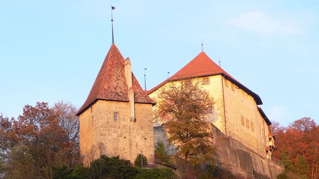 Schloss Laupen, Laupen