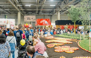 BEA Messe in Bern, Destination Bern