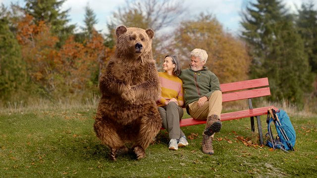 Der Bär auf einer Sitzbank mit Wanderern
