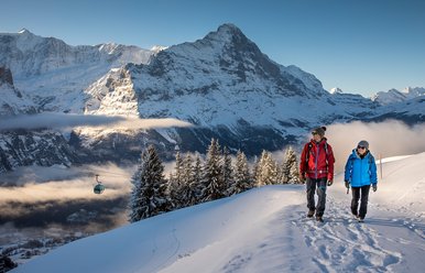Winterwandern in Grindelwald, Jungfrau Region