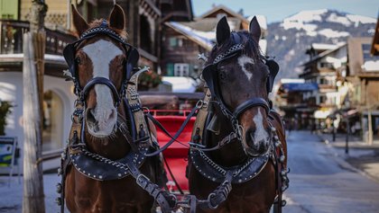 Kutschenfahrten in Gstaad-Saanenland, Ferienregion Gstaad