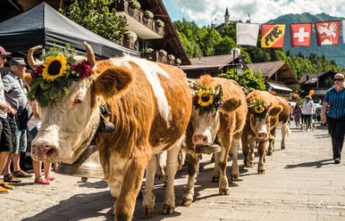 Gstaad Züglete, Ferienregion Gstaad