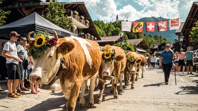 Gstaad Züglete, Ferienregion Gstaad