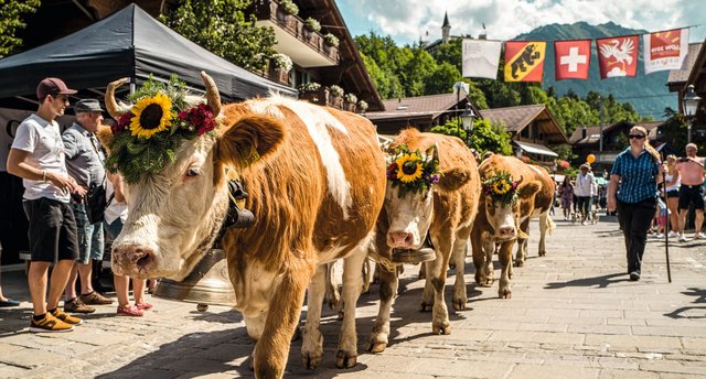 Gstaad Züglete, Ferienregion Gstaad