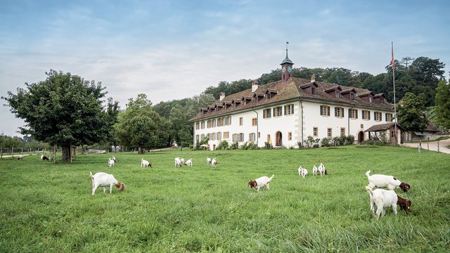 Klosterhotel St. Peterinsel