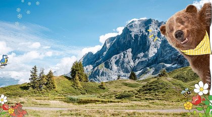 Auf Reise mit Bruno dem Bären