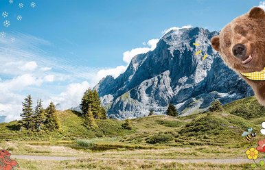 Auf Reise mit Bruno dem Bären