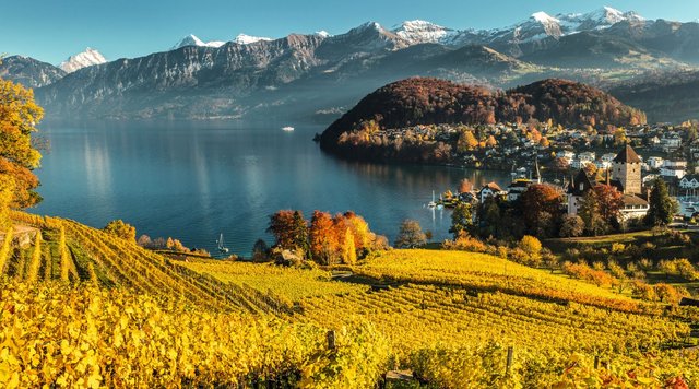 Spiez, Ferienregion Interlaken