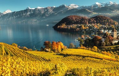 Spiez, Ferienregion Interlaken