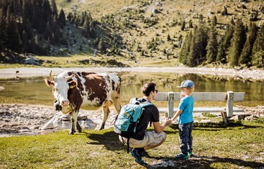 Gantrischseeli, Destination Bern