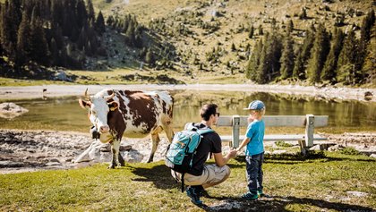 Gantrischseeli, Destination Bern