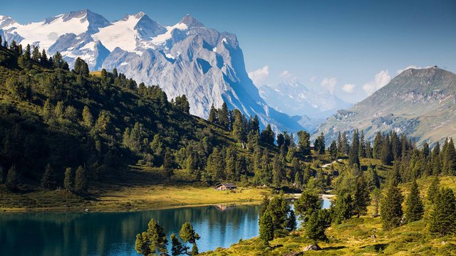 Der Engstlensee im Haslital im Frühsommer mit Wald und schneebedeckten Bergen im Hintergund