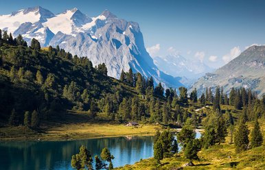 Der Engstlensee im Haslital im Frühsommer mit Wald und schneebedeckten Bergen im Hintergund