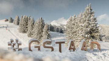 Winter, Ferienregion Gstaad