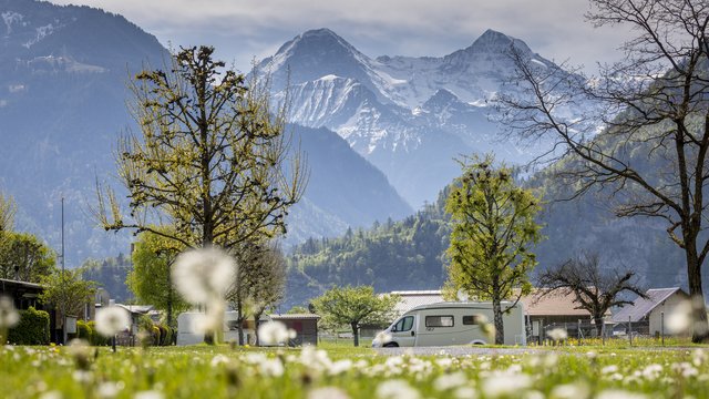 Camping Lazy Rancho, Unterseen