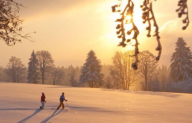 Schneeschuhlaufen Mont Soleil 