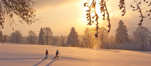 Schneeschuhlaufen Mont Soleil