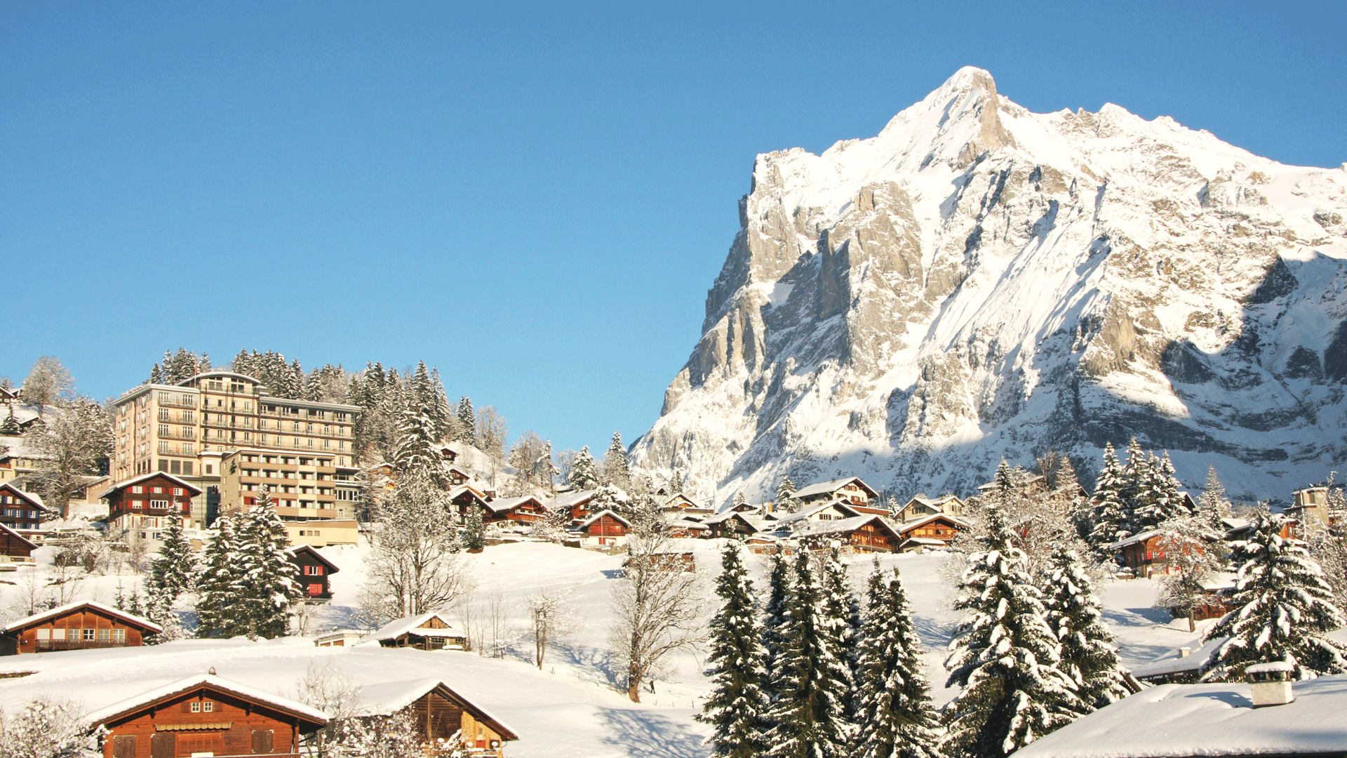 Hotel Belveder, Grindelwald