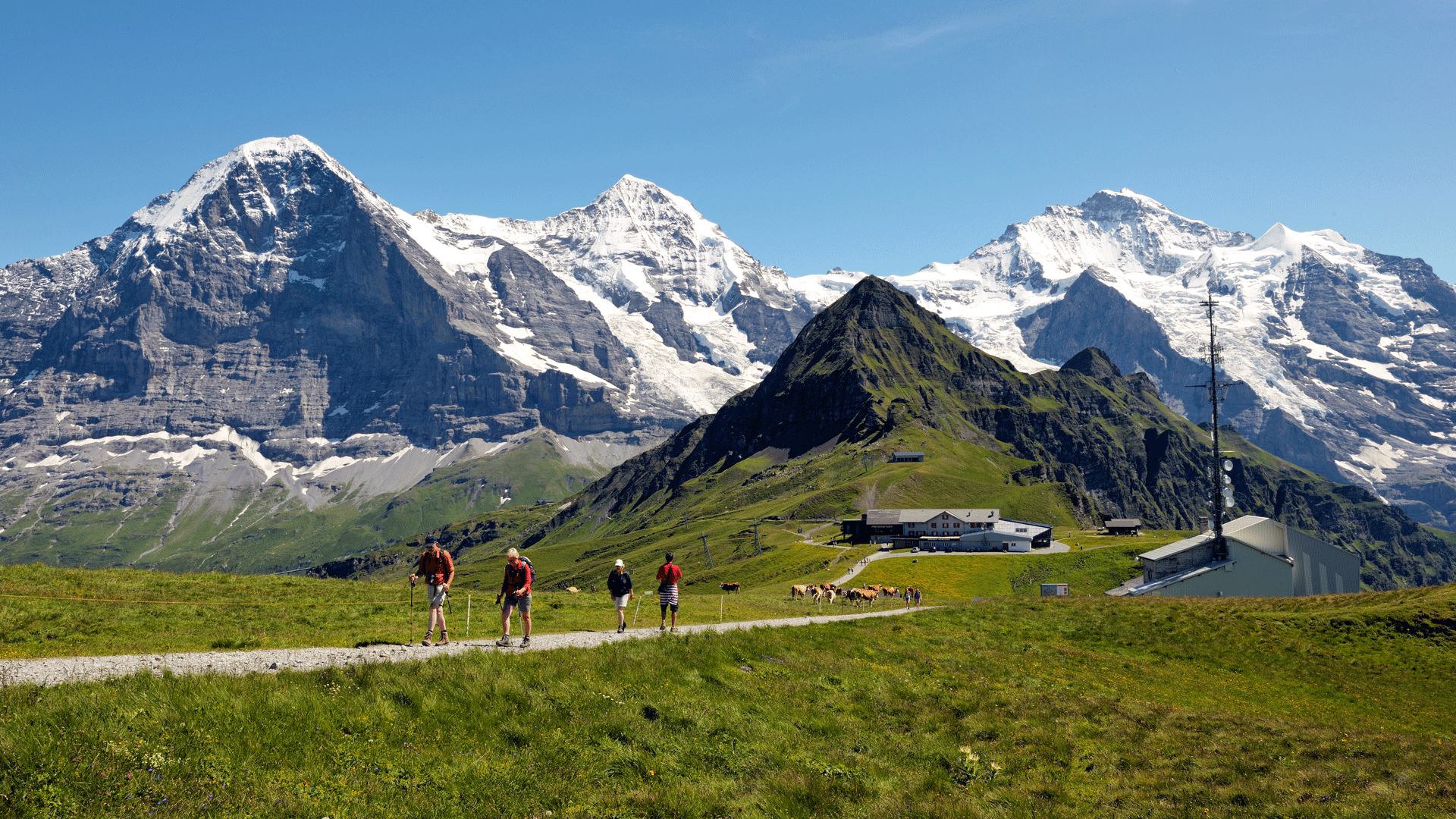 Männlichen, Jungfrau Region
