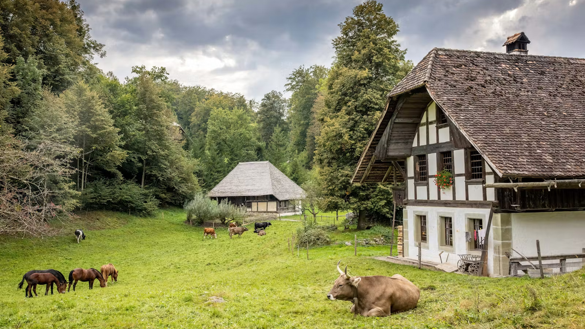 Freilichtmuseum Ballenberg, Ferienregion Interlaken