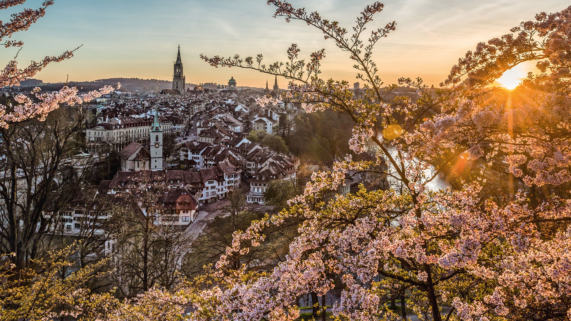 Der Rosengarten in Bern