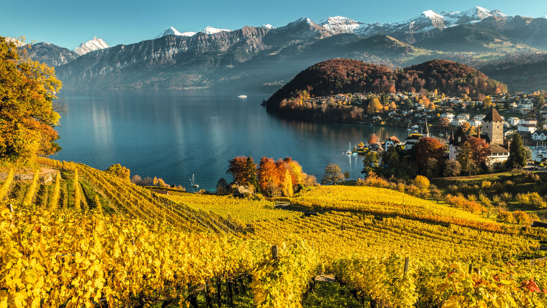 Spiez, Ferienregion Interlaken